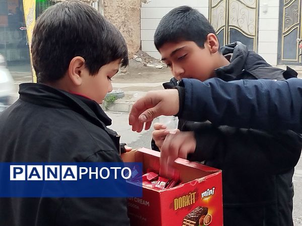 موکب‌های شادی در سطح شهرستان کاشمر 