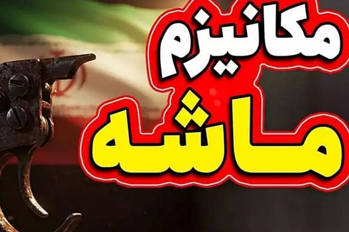 از مکانیسم ماشه تا مکانیسم اراده؛ آینده را ما می‌سازیم