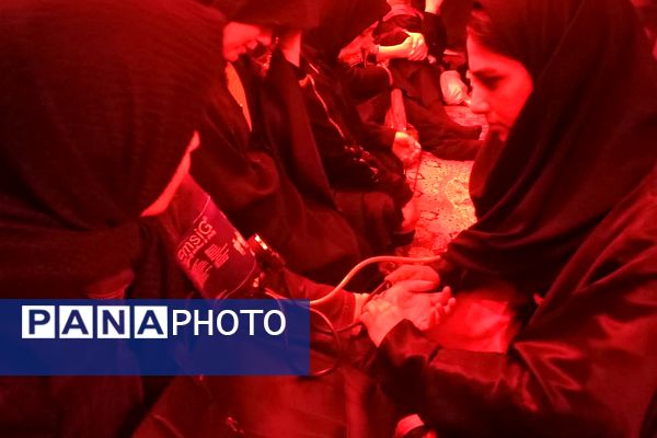 پیشوا در سوگ امامزاده جعفر (ع)؛ اجتماع عاشقان حضرت در حرم مطهر
