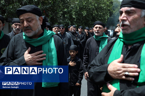  عزاداری روز تاسوعای حسینی در هیات سقاهای همدانی مقیم مرکز