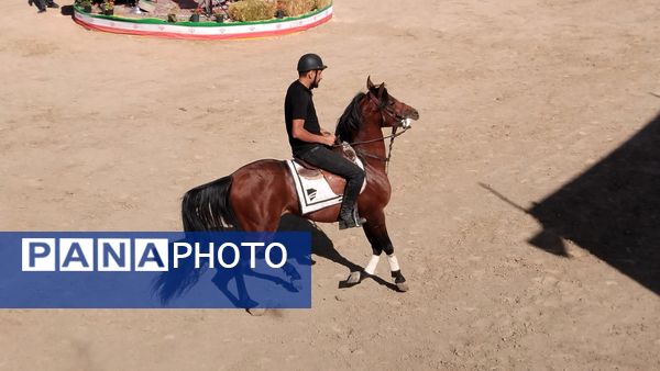 مراسم شوسواره کشوری ارسباران در اهر