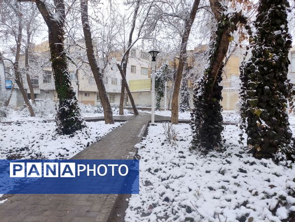 بارش برف و سفید پوش شدن شهر زیبای مشهد