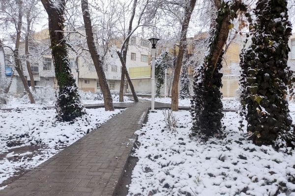 بارش برف و سفید پوش شدن شهر زیبای مشهد