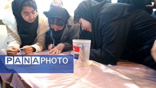 انتخابات شورای دانش آموزی در دبیرستان شاهد شهید حمامی ناحیه شش مشهد