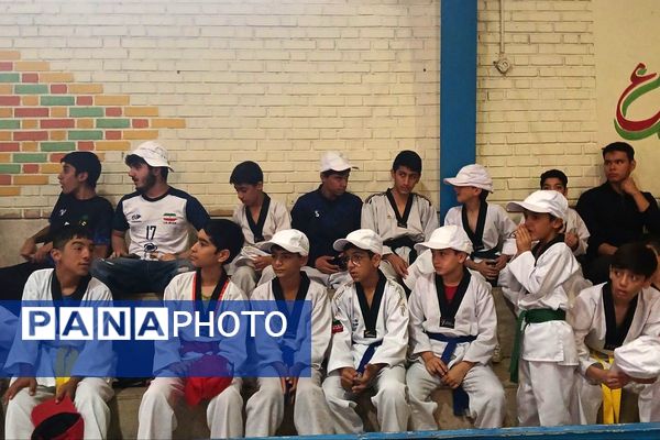 پایان پرشور هفته تربیت بدنی در پیشوا با تجلیل از قهرمانان و هنرمندان ورزشی