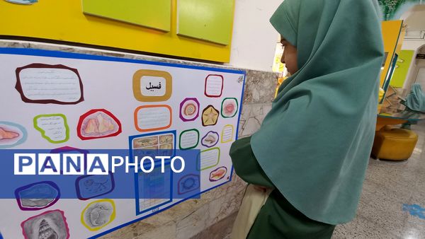 نمایشگاه هفته پژوهش در دبستان شاهد تحقیقی ناحیه ۶