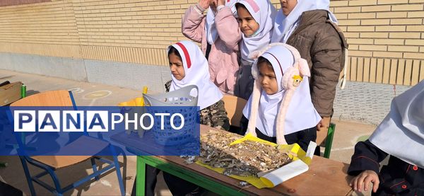 ایستگاه سبز طبیعت در مدرسه شهید رزمی خلیل آباد