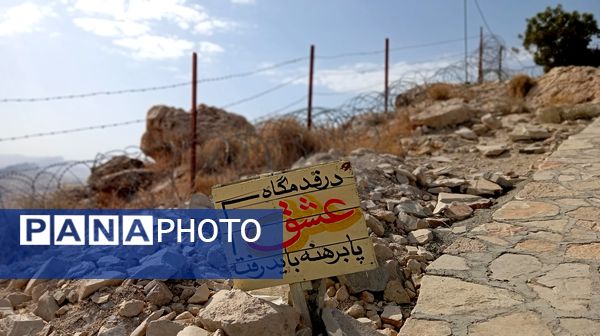 از بن تا بازی دراز؛ گام به گام با راویان نور