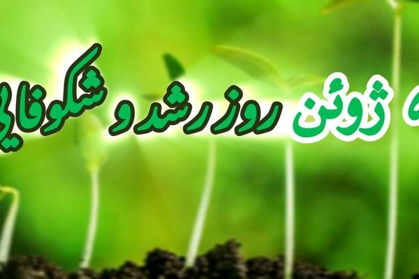 روز جهانی طبیعت؛ روز رشد و شکوفایی