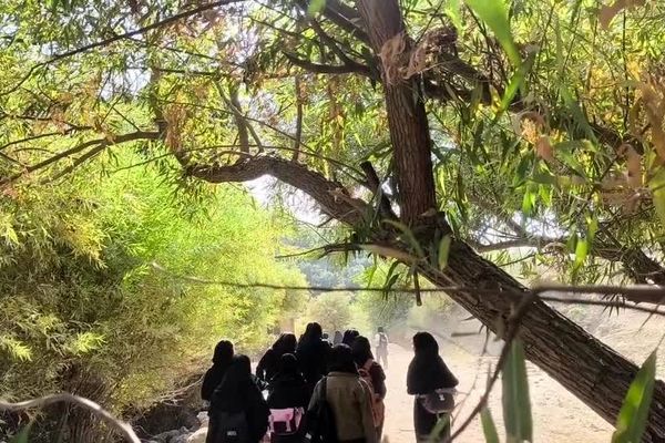 صبحانه سلامت آموزشگاه پاسداران عفت چلدان