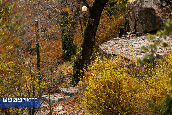 پاییز خیال انگیز در پارک جمشیدیه