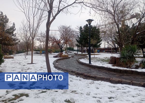 بارش برف در شهر زیبای مشهد 