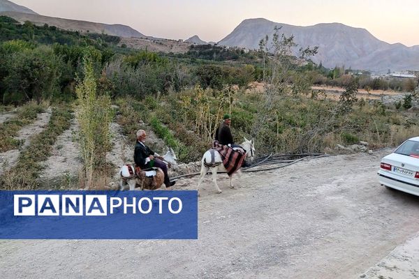 تصاویر زیبا از پاییز رنگارنگ در شهر دار السادات بار نیشابور 