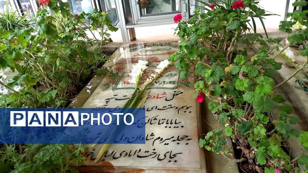 قدم‌های کوچک برخاک بزرگ