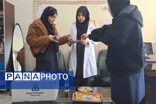 آغاز طرح مکمل یاری با آهن و ویتامین دی در مدارس کهریزک