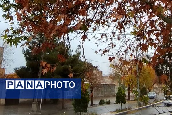 جلوه هایی از باران پاییزی در کاشمر