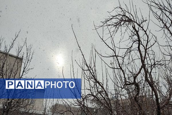 شروع اولین بارش برف زمستانی در بهمن ماه ۱۴۰۳ در شهر زیبای با‌ر