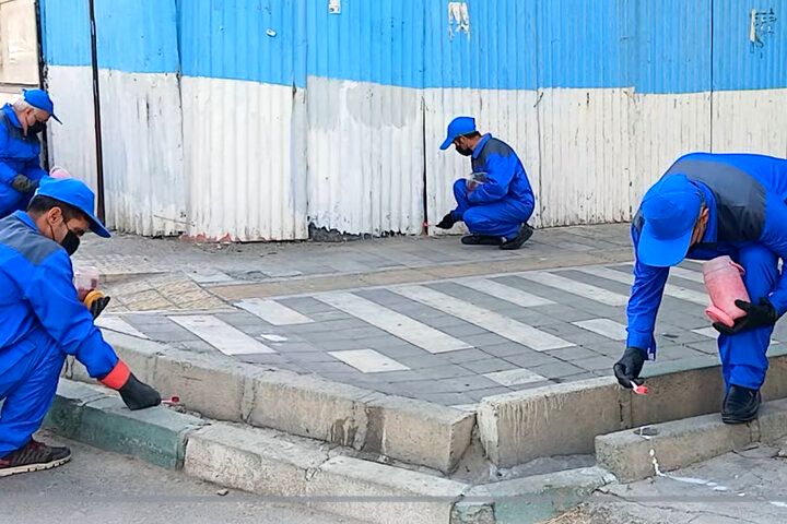 استفاده از «نانوپودر غیرسمی» برای مبارزه با موش‌های پایتخت