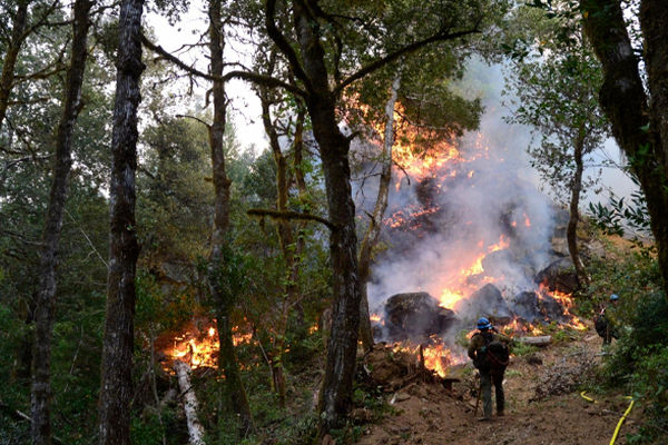 اهمیت آموزش مردم بومی منطقه و داشتن تجهیزات اطفای حریق برای کنترل آتش‌سوزی جنگل
