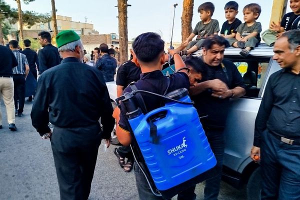 نخل‌گردانی بنی‌اسد، یادگاری از عشق و ایمان تو دل‌های نوجوانان