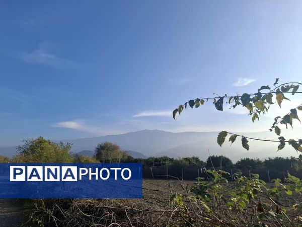 جنگل‌های هیرکانی کردکوی