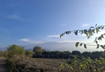 جنگل‌های هیرکانی کردکوی