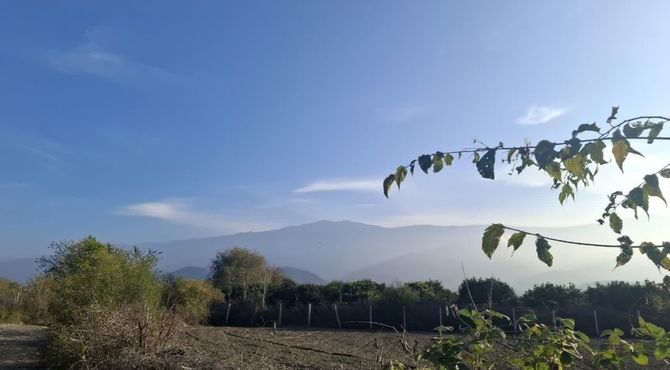 جنگل‌های هیرکانی کردکوی