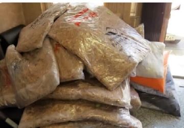 کشف ۵۸۵ کیلوگرم مواد مخدر در مرسولات پستی