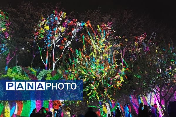 دومین جشنواره هنرهای نوری کشور در مشهد