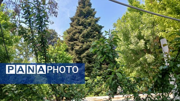 بازدید دانش‌آموزان مدرسه ایران از فضای سبز شهرداری ملارد به مناسبت روز زمین پاک