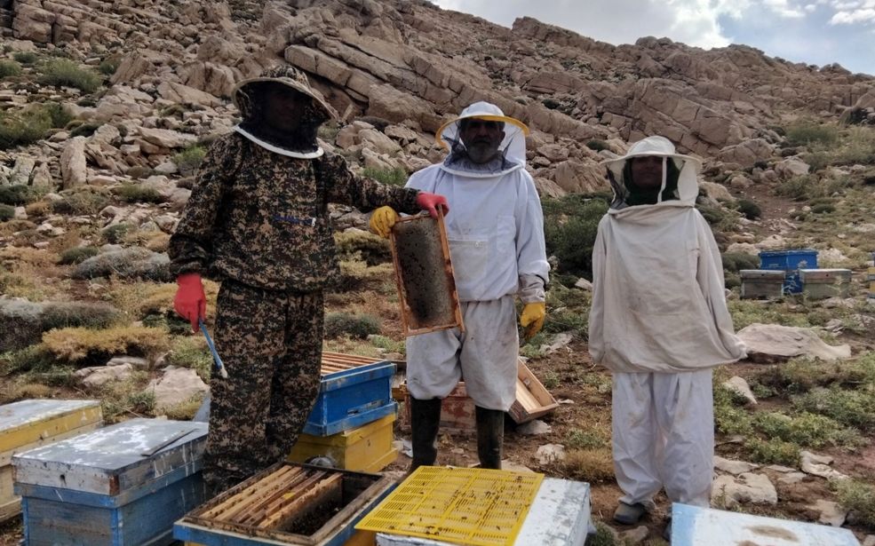 عسل‌گیری در ارتفاعات بزیمنی