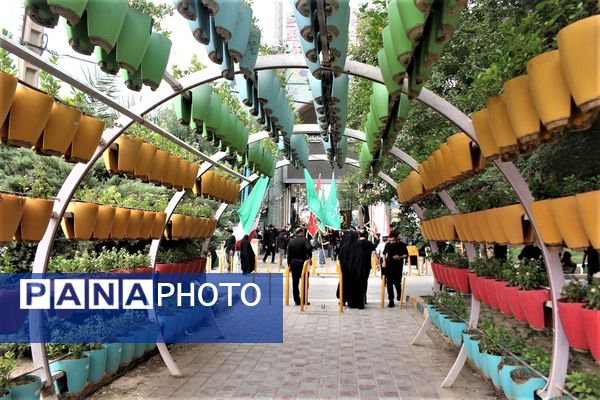 هیات عزاداری سیدالساجدین قم