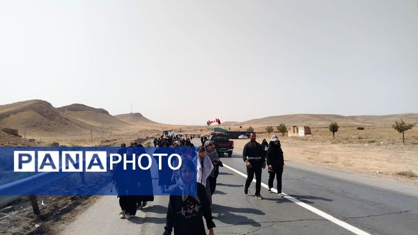 پیاده روی زائران امام رضا(ع) از ملک آباد تا مشهد 