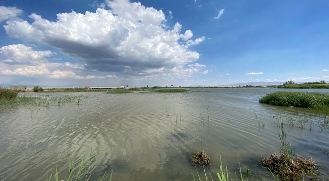 نقش تسهیلگری برنامه توسعه ملل متحد در تحقق حقابه تالاب‌های مرزی