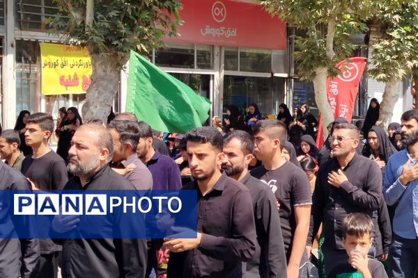 شکوه عزاداران رضوی در لردگان