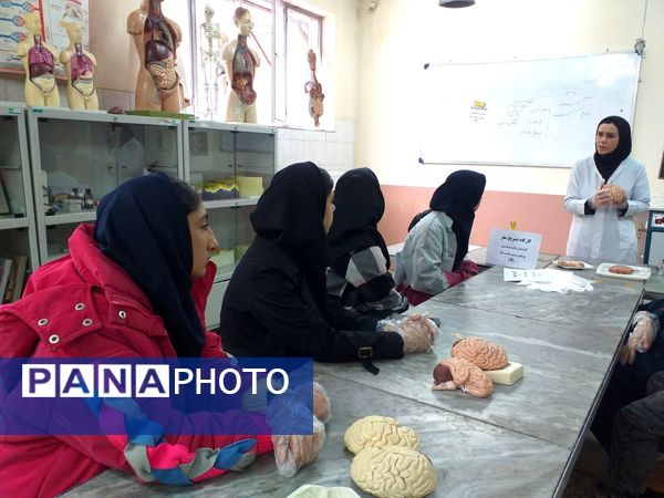 برگزاری کلاس آناتومی و تشریح مغز در پژوهش‌سرای بوعلی سینا ملارد