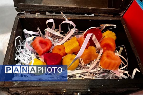 پایان کار نمایشگاه گیاهان دارویی پژوهش‌سرای کاوش کهریزک 