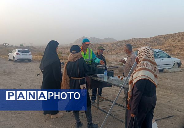 گام هایی از جنس عشق به امام رضا (ع)