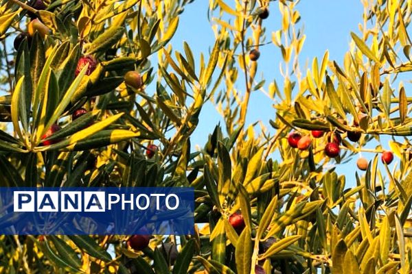 هرچه می‌گذرد، بیشتر به شبی سردتر و طولانی‌تر نزدیک می‌شویم