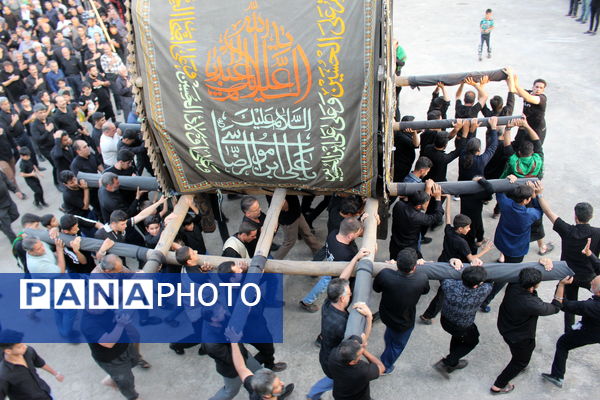 آیین نخل‌برداری شهادت امام رضا (ع) در یزد