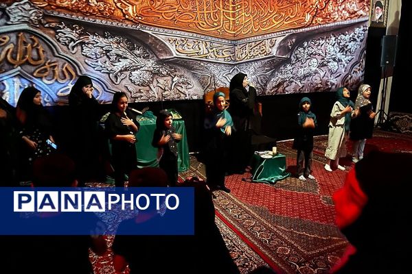 «نجما» در عزای امام حسن مجتبی (ع) به اشک نشست