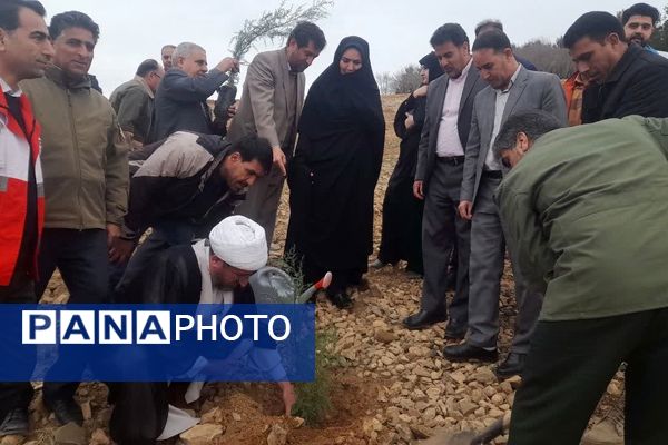 پویش درختکاری «جان ایران» در سلسله