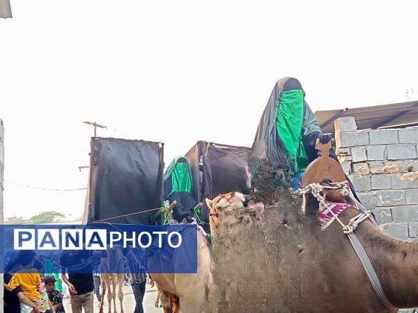آیین باشکوه کاروان شام تا کربلا در میناب