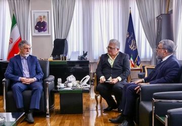 صالحی: حمایت برزیل از ایران در جنگ ۱۲ روزه یکی از مولفه‌های کمک به ارتباطات فرهنگی دو کشور است