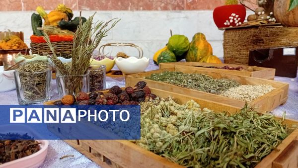  دبیرستان جرجانی میزبان شور و هنر دانش‌آموزان الیگودرز شد