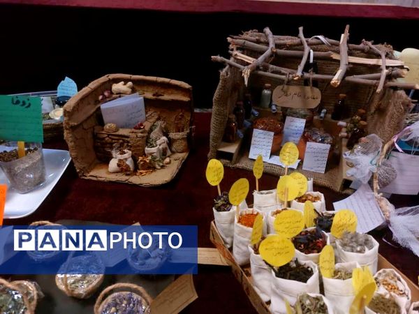 برگزاری نمایشگاه گیاهان دارویی در دبیرستان شاهد شهدای اقتدار ملارد 