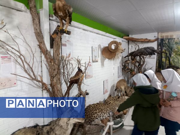 بازدید دبستان دخترانه شاهد۲ حضرت رقیه(س)، از موزه حیات وحش شیروان