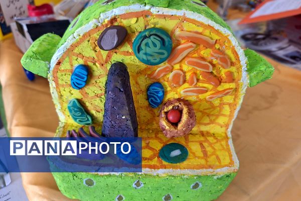 نمایشگاه دست سازه‌های علوم و آزمایشگاه در دبیرستان پویش 