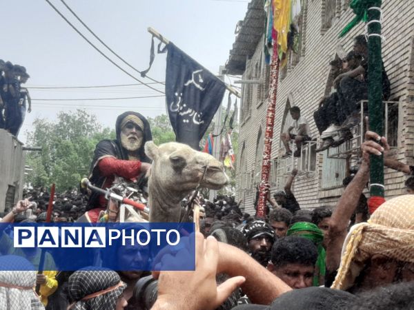 مراسم عزاداری روز عاشورا در میناب