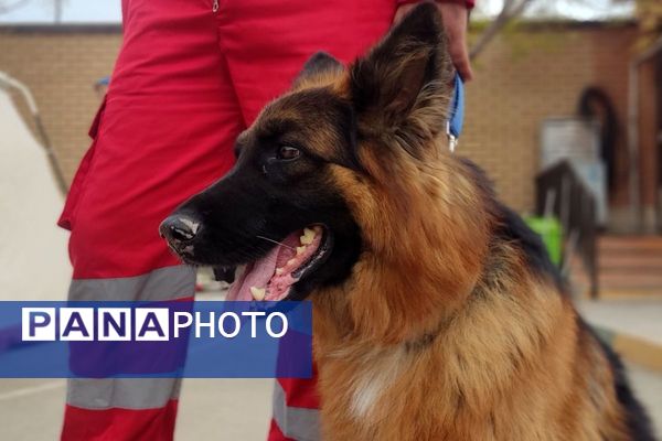 اجرای مانور زلزله با حضور مسئولان در مدرسه استاد مطهری رباط‌کریم